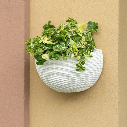 MOONBIFFY Wall-Mounted Plastic Flowerpot