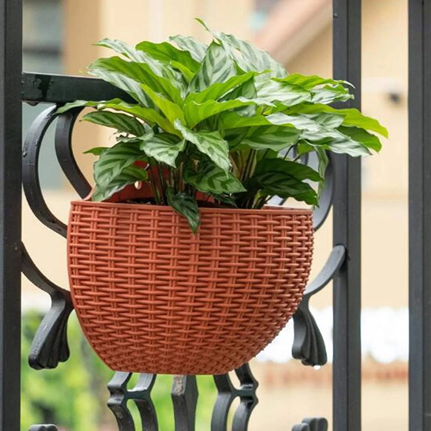 MOONBIFFY Wall-Mounted Plastic Flowerpot