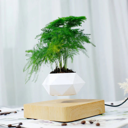 Magnetic Floating Air Bonsai Pot