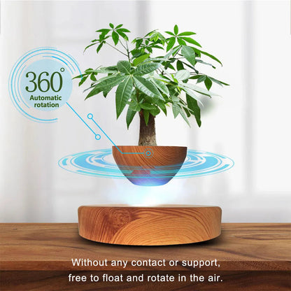 Magnetic Floating Air Bonsai Pot