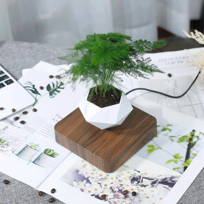 Magnetic Floating Air Bonsai Pot