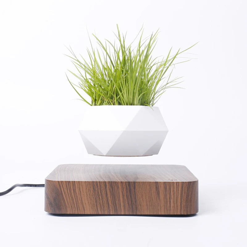 Magnetic Floating Air Bonsai Pot