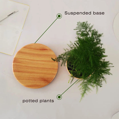 Magnetic Levitating Air Bonsai Planter