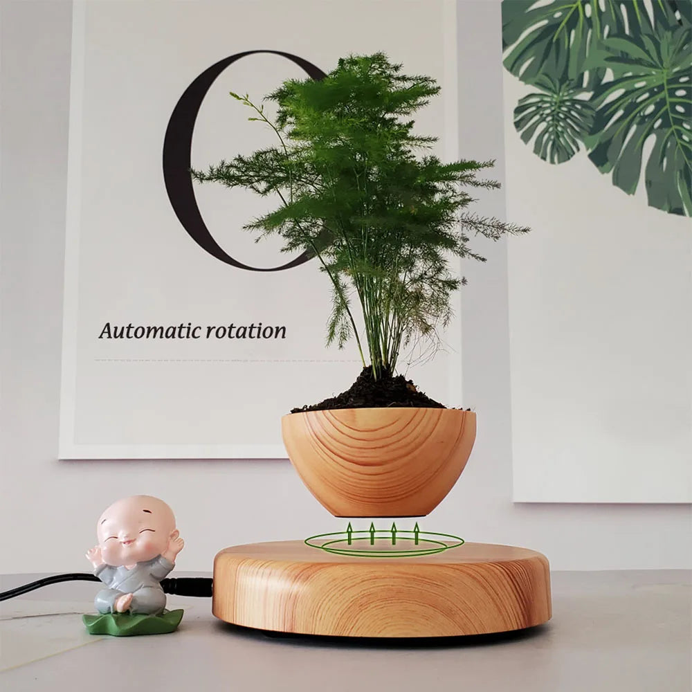 Magnetic Levitating Air Bonsai Planter