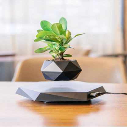 Magnetic Levitating Air Bonsai Planter