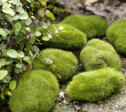 Miniature Resin Fairy Garden Ornaments