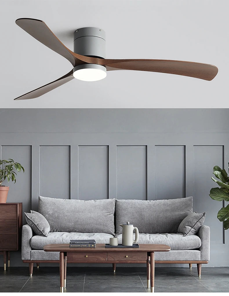 Modern Black Ceiling Fan Light