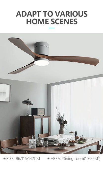 Modern Black Ceiling Fan Light