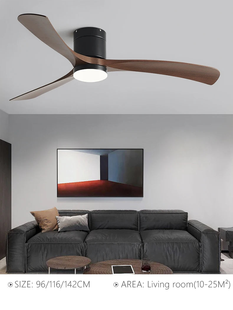 Modern Black Ceiling Fan Light