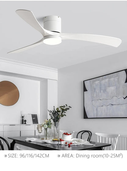 Modern Black Ceiling Fan Light