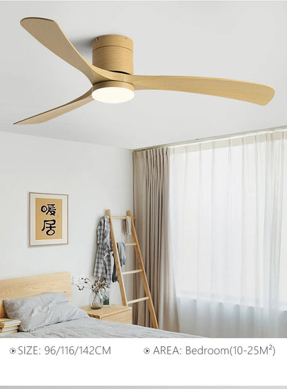 Modern Black Ceiling Fan Light