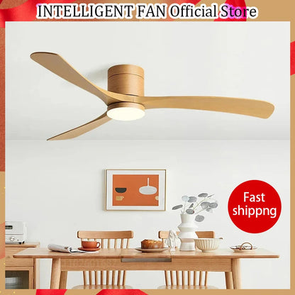 Modern Black Ceiling Fan Light