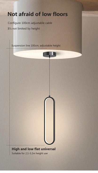 Modern Black Gold Pendant Light