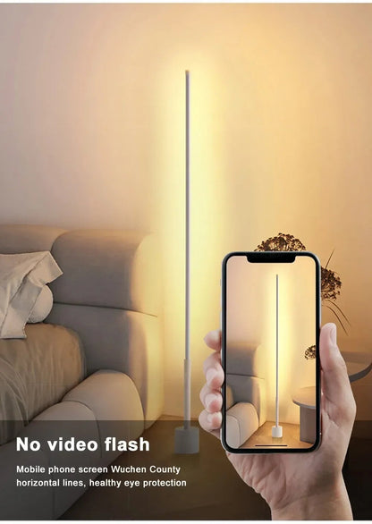 Modern Dimmable Acrylic Floor Lamp