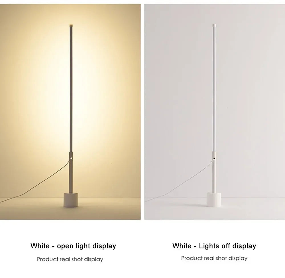 Modern Dimmable Acrylic Floor Lamp