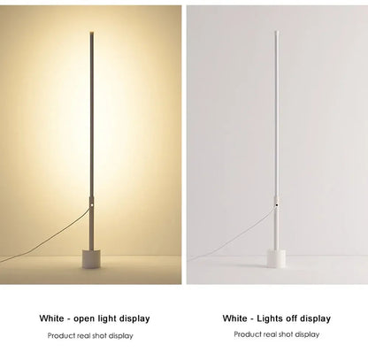 Modern Dimmable Acrylic Floor Lamp