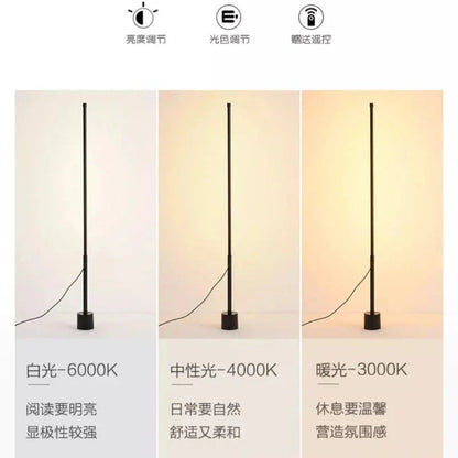 Modern Dimmable Acrylic Floor Lamp