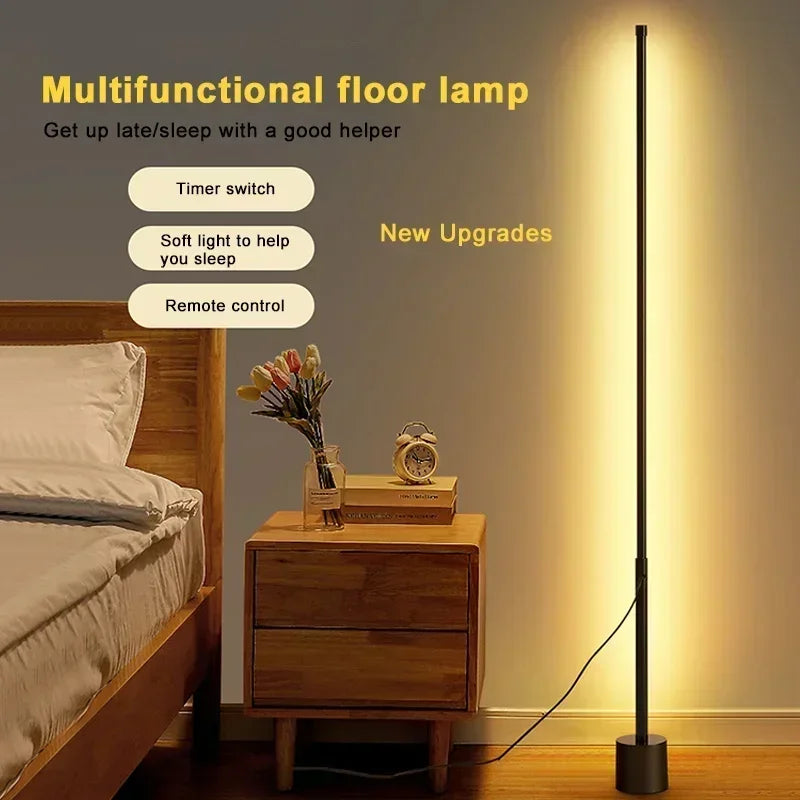 Modern Dimmable Acrylic Floor Lamp