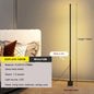 Modern Dimmable Acrylic Floor Lamp