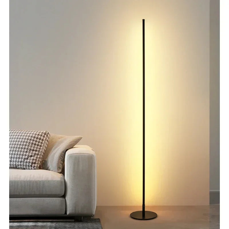 Modern Dimmable Acrylic Floor Lamp