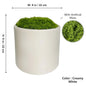 Modern White Plastic Plant Pot