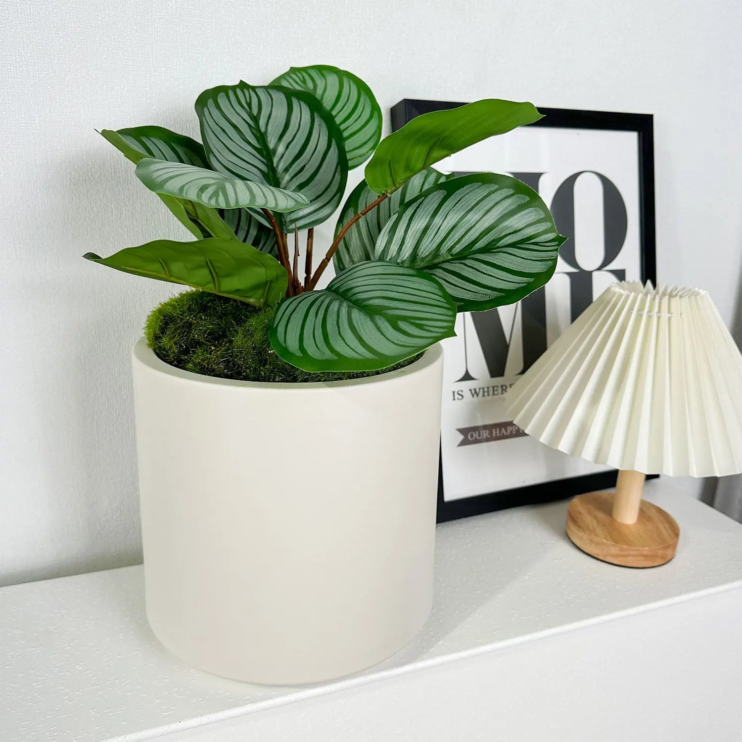 Modern White Plastic Plant Pot