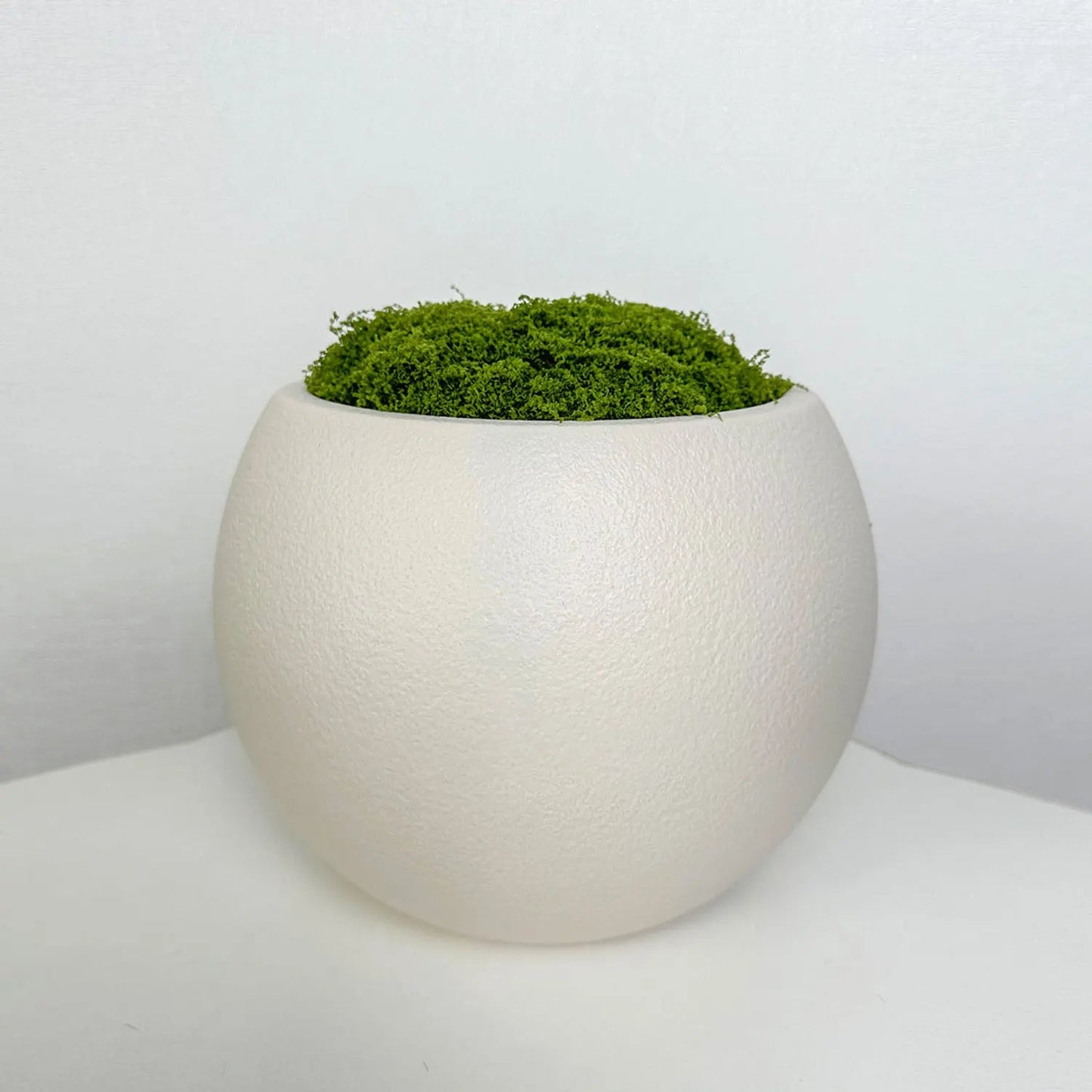 Modern White Plastic Plant Pot