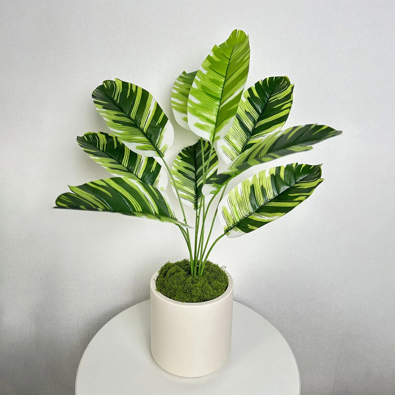 Modern White Plastic Plant Pot