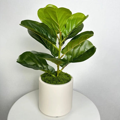 Modern White Plastic Plant Pot