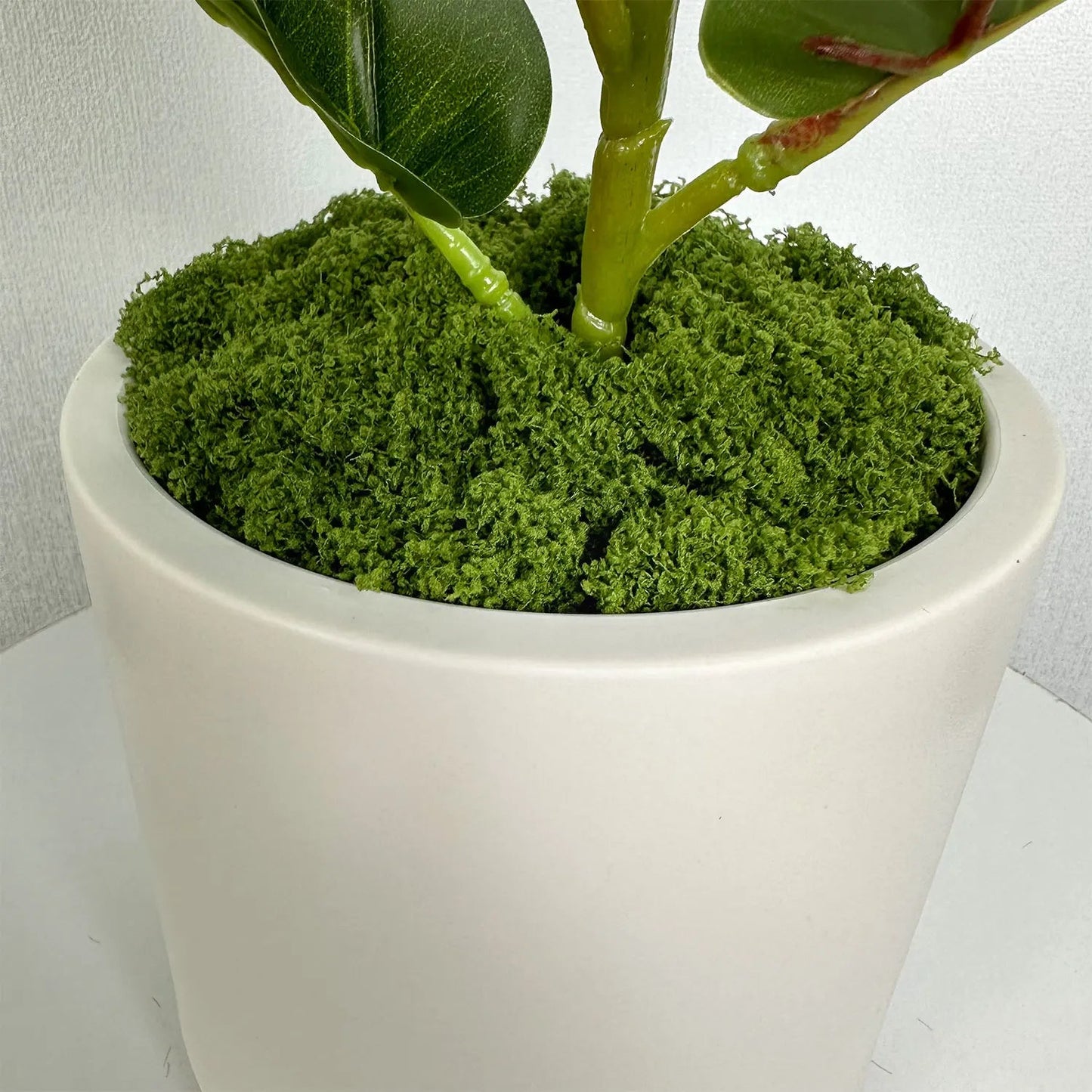 Modern White Plastic Plant Pot