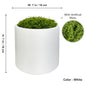 Modern White Plastic Plant Pot