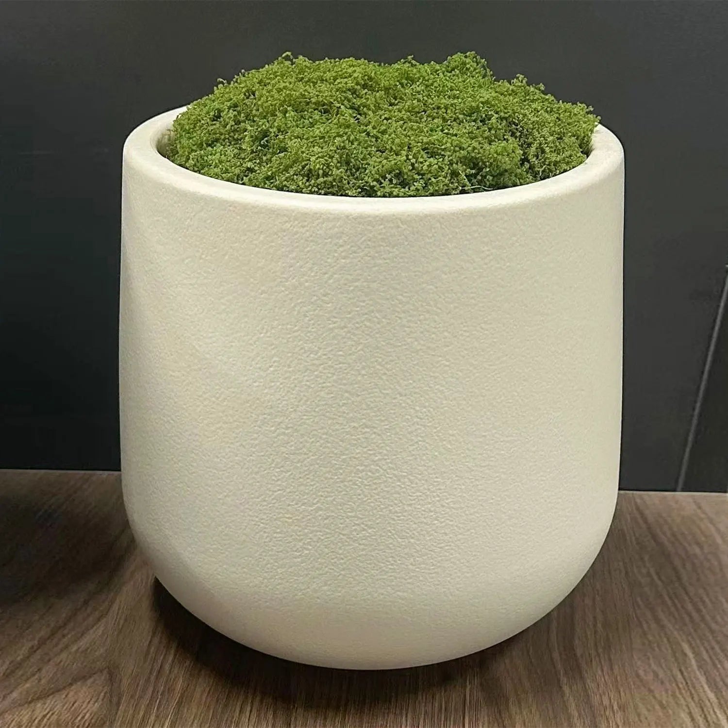 Modern White Plastic Plant Pot