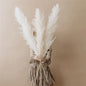 Natural Dried Pampas Grass Bouquet