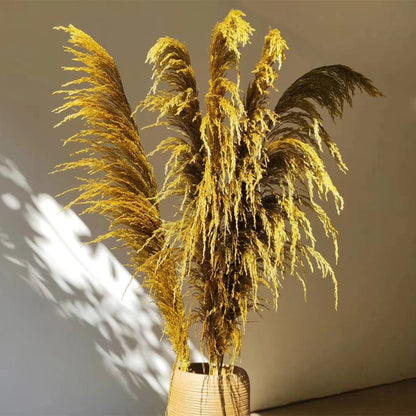 Natural Dried Pampas Grass Bouquet