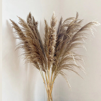 Natural Dried Pampas Grass Bouquet