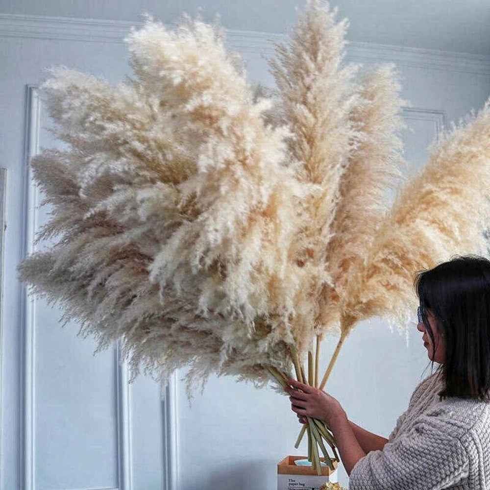 Natural Dried Pampas Grass Bouquet