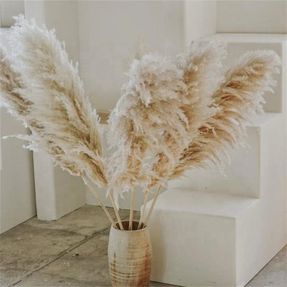 Natural Dried Pampas Grass Bouquet