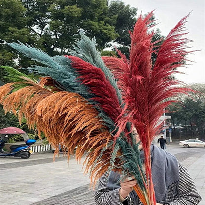 Natural Dried Pampas Grass Bouquet