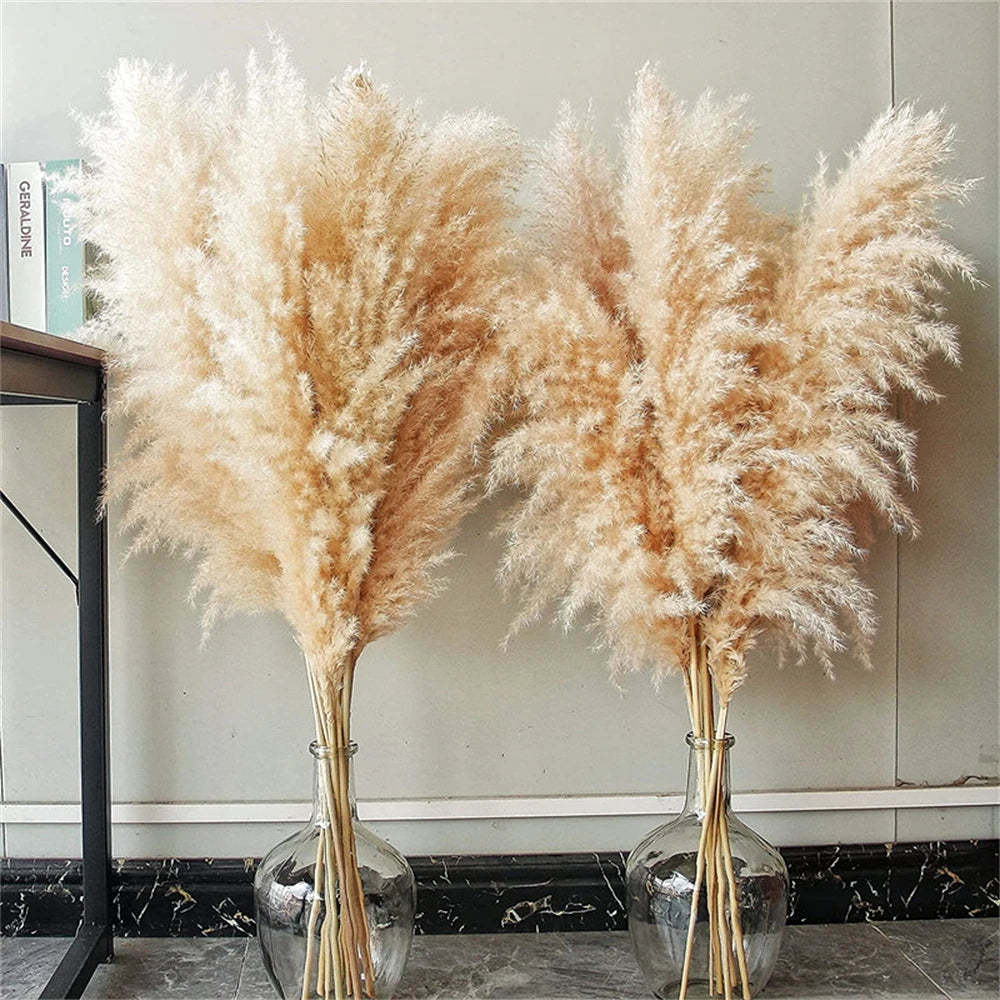 Natural Dried Pampas Grass Bouquet