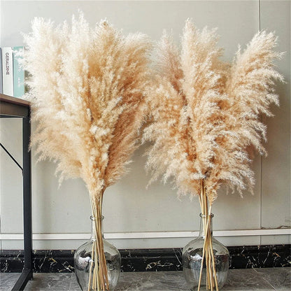 Natural Dried Pampas Grass Bouquet