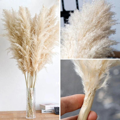 Natural Dried Pampas Grass Bouquet