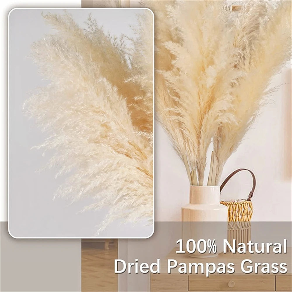 Natural Dried Pampas Grass Bouquet