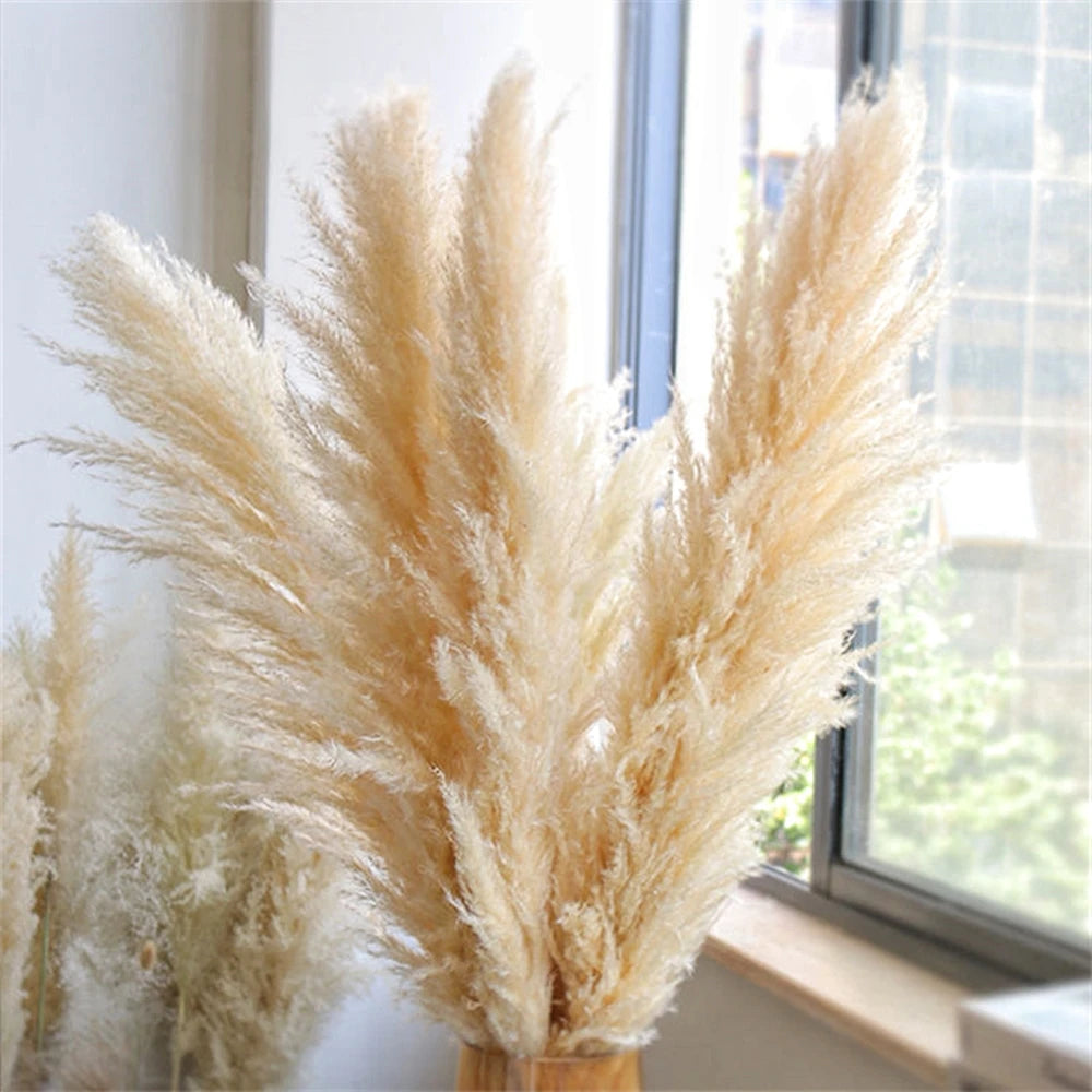 Natural Dried Pampas Grass Bouquet