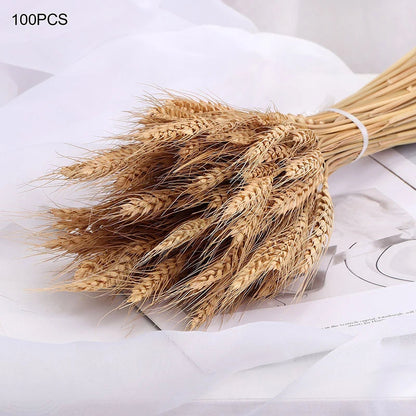 Natural Dried Wheat Stalks - 45cm