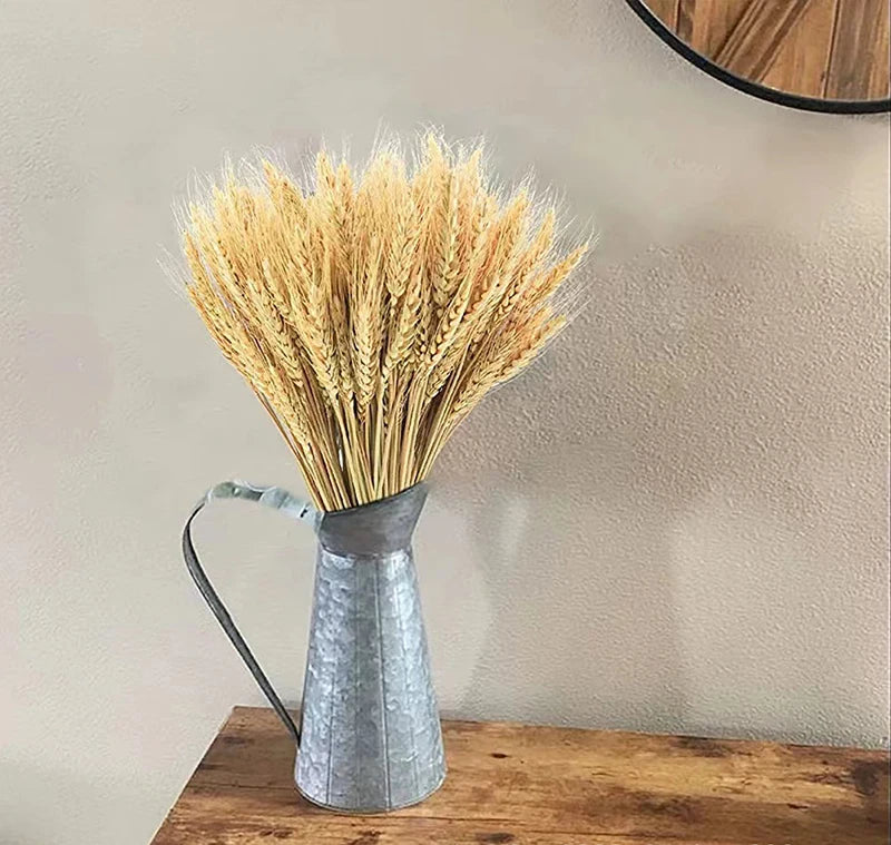 Natural Dried Wheat Stalks - 45cm