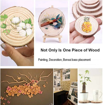 Natural Pine Unfinished Wood Slices