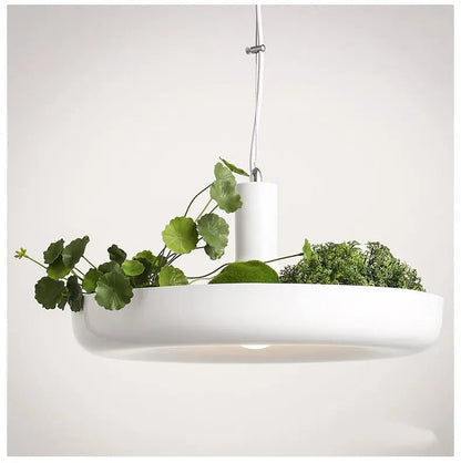 Nordic Plant Pendant Light Fixture