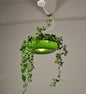 Nordic Plant Pendant Light Fixture