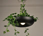 Nordic Plant Pendant Light Fixture