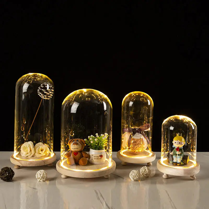 Glass Bell Jar Terrarium with LED Light